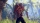 Dead Island Definitive Edition Collection, Sony PS4