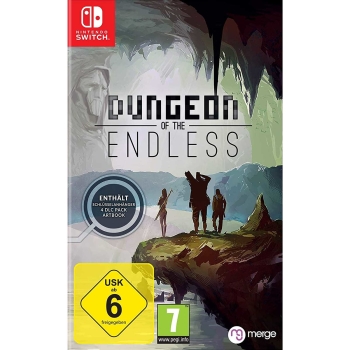 Dungeon of the Endless, Nintendo Switch
