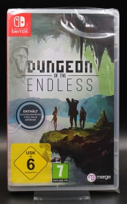 Dungeon of the Endless, Nintendo Switch