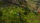 Pathfinder: Kingmaker Definitive Edition, PS4/Xbox One