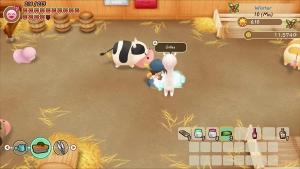 Story of Seasons - Friends of Mineral Town, Switch