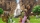 Dragon Quest XI S: Streiter des Schicksals Definitive Edition, Sony PS4
