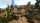ARK: Survival Evolved (Code in a Box), Switch
