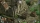 Commandos 2 - HD Remaster, Switch