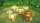 Super Monkey Ball Banana Blitz HD (Code in a Box), Switch