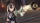 Ys IX: Monstrum Nox Pact Edition, PS4/Switch