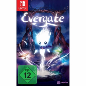 Evergate, Nintendo Switch