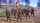 Kings Bounty II Day One Edition, PC/PS4