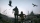 A Plague Tale: Innocence, Sony PS5