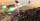 LEGO Marvel Super Heroes (Code in a Box), Switch
