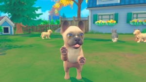 My Universe - Hunde und Katzenbabys, Switch