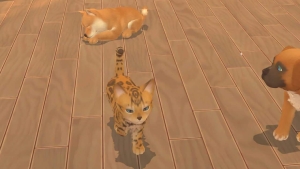 My Universe - Hunde und Katzenbabys, Switch