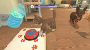 My Universe - Hunde und Katzenbabys, Switch