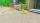 My Universe - Hunde und Katzenbabys, Switch