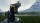 Death Stranding Directors Cut, Sony PS5