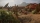 Elex, XBox One