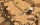 Titan Quest, XBox One