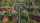 Life In Willowdale: Farm Adventures, PS5/Switch