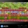 Blaze Evercade Arcade Cartridge #005 Jaleco Arcade 1