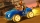 Crash Team Racing: Nitro Fueled, Xbox One