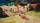 Pikmin 4, Switch
