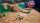 Pikmin 4, Switch