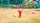 Pikmin 4, Switch