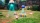 Pikmin 4, Switch