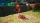 Pikmin 4, Switch