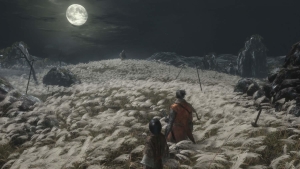Sekiro: Shadows Die Twice Game of the Year Edition, Sony PS4