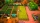 Fae Farm, Switch