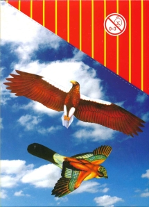 Vogelgleiter, Styroporvögel, Bird Glider 48/96 Stk.