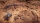 Expeditions: A MudRunner Game, PS4/PS5/Xbox/Switch