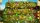 Die 12 Heldentaten des Herkules 09 + 10 Bundle, PC