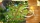 Die 12 Heldentaten des Herkules 11 + 12 Bundle, PC