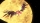 Sonic x Shadow Generations, Nintendo Switch