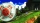 Sonic x Shadow Generations, Nintendo Switch