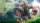 Wild Hearts S, Nintendo Switch 2