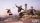 Tony Hawk´s Pro Skater 3+4, Nintendo Switch 2