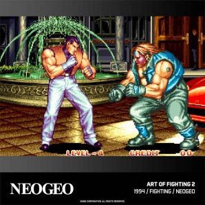 Blaze Evercade Arcade Cartridge #019 Neo Geo 2