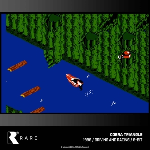 Blaze Evercade Catridge #048 Rare Collection 1