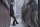 The Last of Us Staffel 2, Blu-ray (7 Episoden)