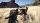Crimson Desert Deluxe Edition, Microsoft Xbox Series X
