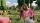 Ein Minecraft Film, Blu-ray
