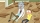 Rick and Morty Staffel 7, Blu-ray