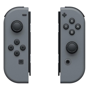 Joy-Con 2er-Set Grau