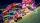 Sonic Racing: CrossWorlds, Nintendo Switch 2