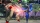 Virtua Fighter 5 R.E.V.O. World Stage 30th Anniversary Edition, Nintendo Switch 2