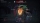 Phoenix Point: Behemoth Edition, Microsoft Xbox One