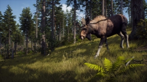 Way of the Hunter, Microsoft Xbox Series X
